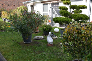 Wohnpark Schöppenstedt Bild 3